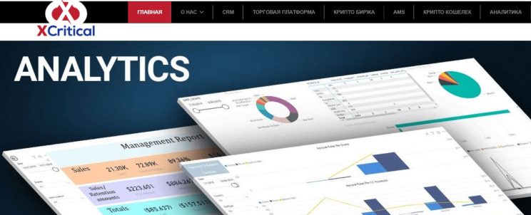 Платформа xCritical: scam или эффективное решение?